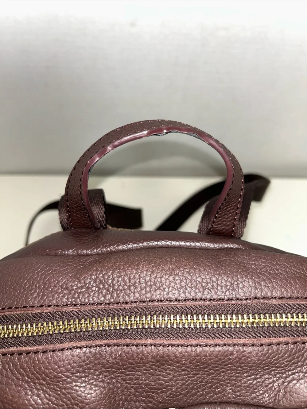 The Sak De Young Brown Pebbled Leather Zip Backpack